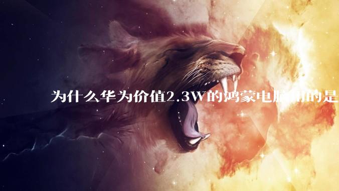 为什么华为价值2.3W的鸿蒙电脑用的是美国西数的SN740固态硬盘？