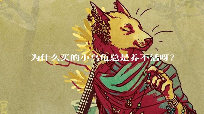 为什么买的小乌龟总是养不活呀？