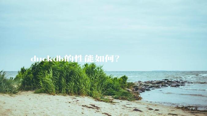 duckdb的性能如何？