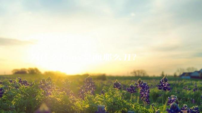 为什么linux桌面那么丑？