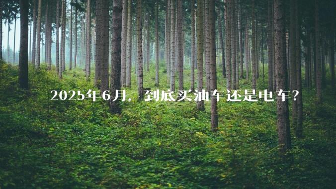 2025年6月，到底买油车还是电车？