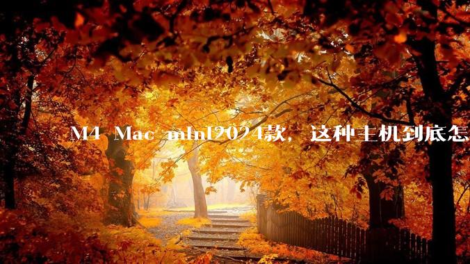 M4 Mac mini2024款，这种主机到底怎么样呀？