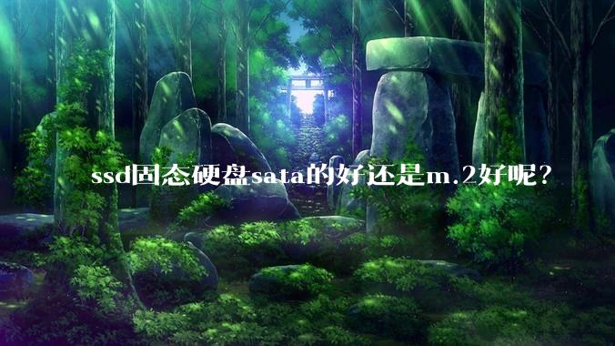 ssd固态硬盘sata的好还是m.2好呢？